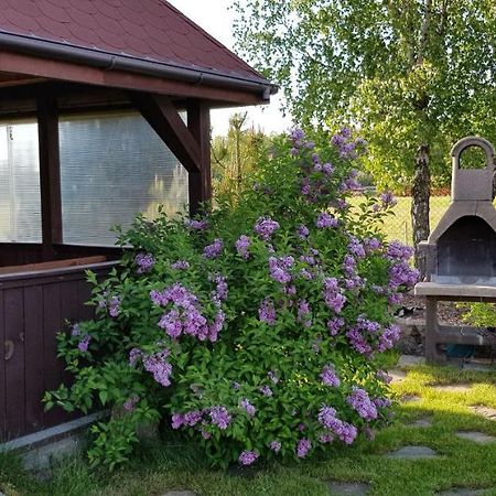 Dom W Skowronkach Villa Sasino Exteriör bild