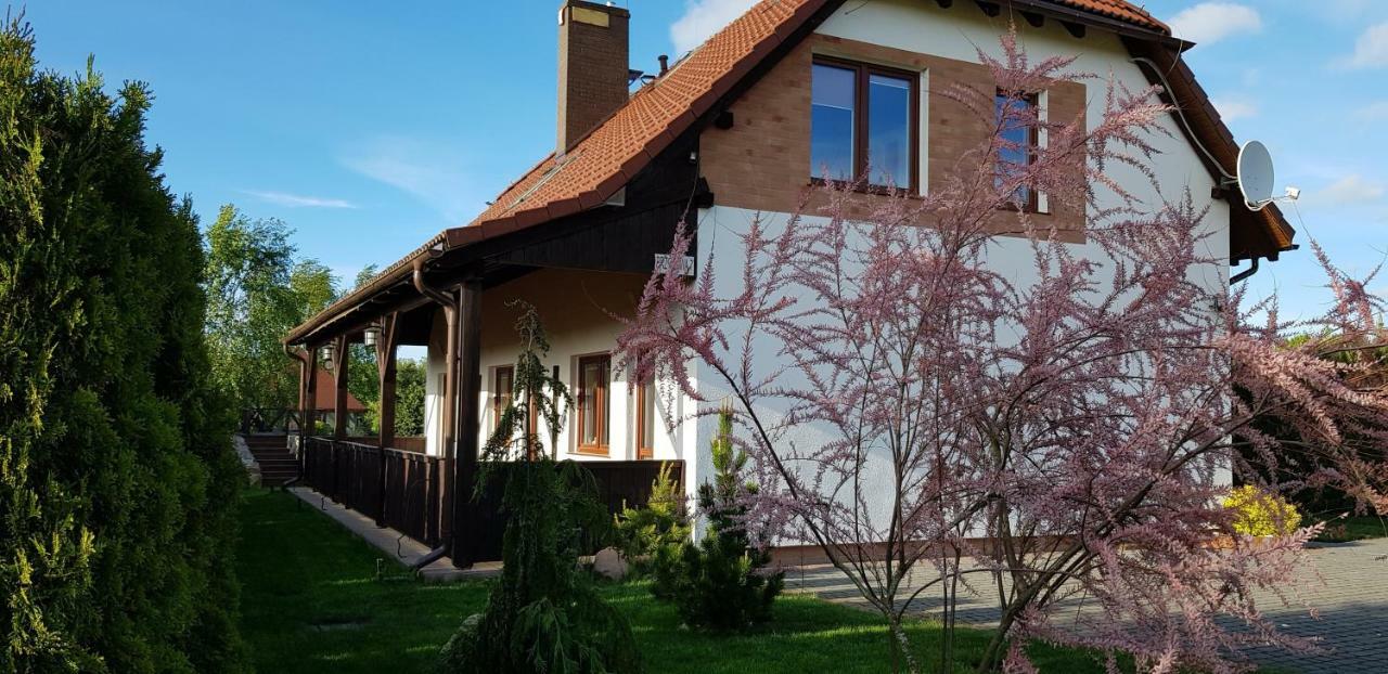 Dom W Skowronkach Villa Sasino Exteriör bild
