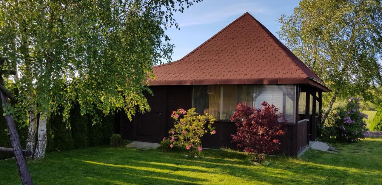 Dom W Skowronkach Villa Sasino Exteriör bild